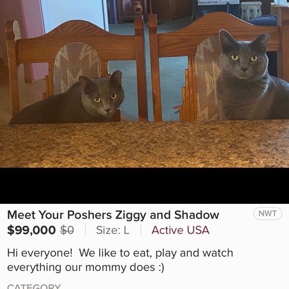 Meet your Posher, Sunshine - Picture 2 of 2